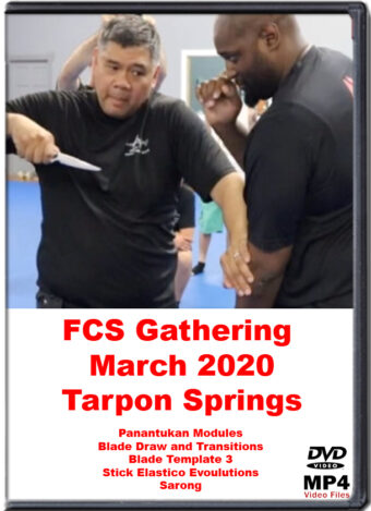 RAY DIONALDO - FCS GATHERING MARCH 2020 TARPON SPRINGS