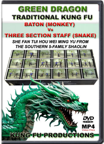 SIFU ALLEN - GREEN DRAGON TRADITIONAL KUNG FU - BATON VS THREE SECTION STAFF