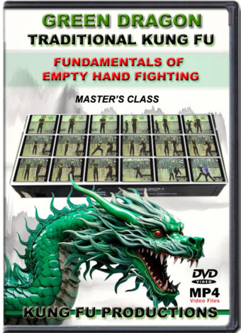SIFU ALLEN - GREEN DRAGON TRADITIONAL KUNG FU - FUNDAMENTALS OF EMPTY HAND FIGHTING