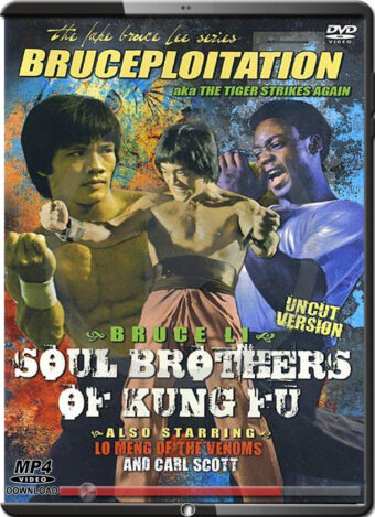 (1977) SOUL BROTHERS OF KUNG FU