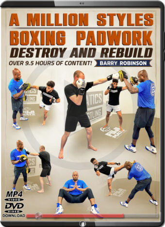 BARRY ROBINSON - A MILLION STYLES BOXING PAD WORK