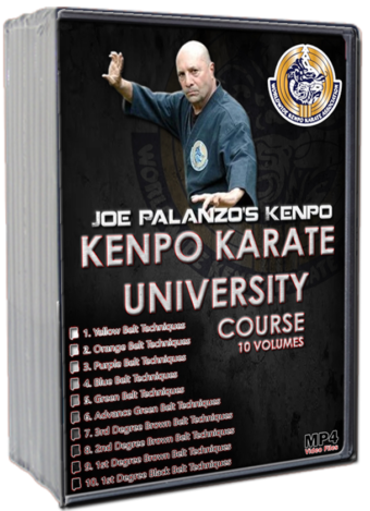 JOE PALANZO'S - KENPO KARATE UNIVERSITY SERIES
