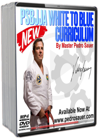 PEDRO SAUER - OFFICIAL CURRICULUM - WHITE TO BLUE (NEW VERSION)