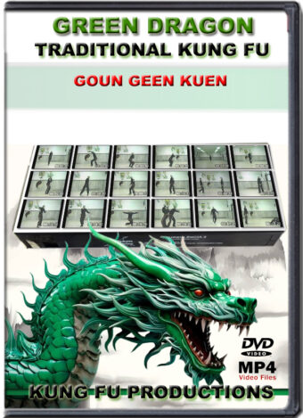 SIFU ALLEN - GREEN DRAGON TRADITIONAL KUNG FU - GOUN GEE KUEN FROM HUNG STYLE