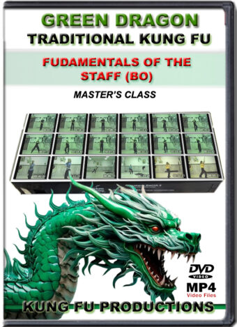 SIFU ALLEN - GREEN DRAGON TRADITIONAL KUNG FU - MASTER CLASS FUNDAMENTAL OF THE STAFF (BO)