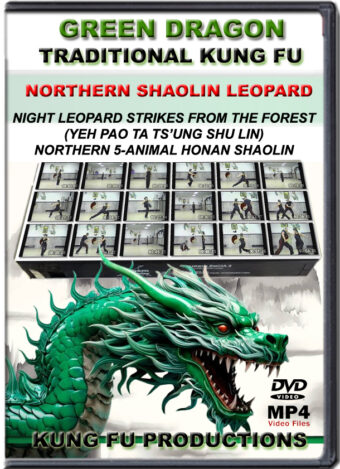 SIFU ALLEN - GREEN DRAGON TRADITIONAL KUNG FU - NORTHERN SHAOLIN LEOPARD