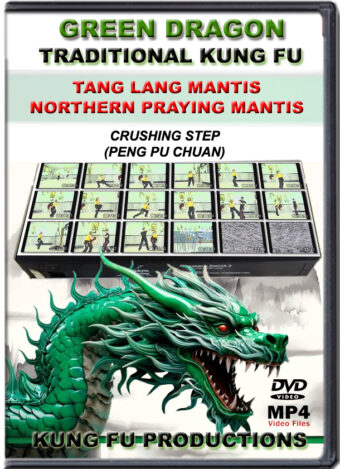 SIFU ALLEN - GREEN DRAGON TRADITIONAL KUNG FU - TANG LANG MANTIS NORTHERN PRAYING MANTIS