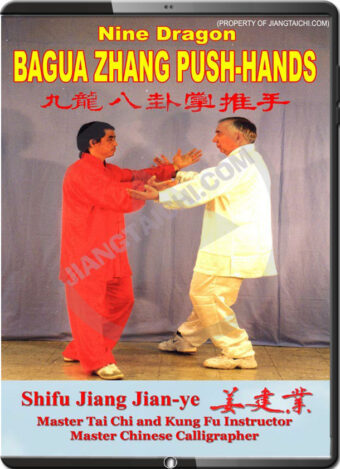 JIANG JIAN YE - NINE GRAGON BAGUA  ZHANG PUSH-HANDS