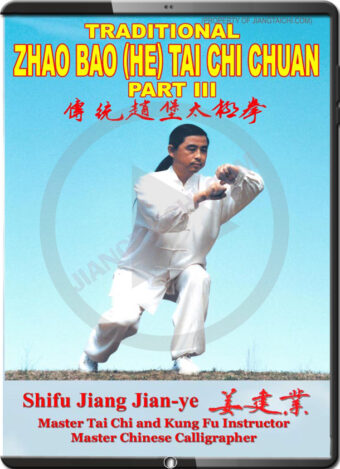 JIANG JIAN YE - TRADITIONAL ZHAO BAO (HE FAMILY) TAI CHI CHUAN 3