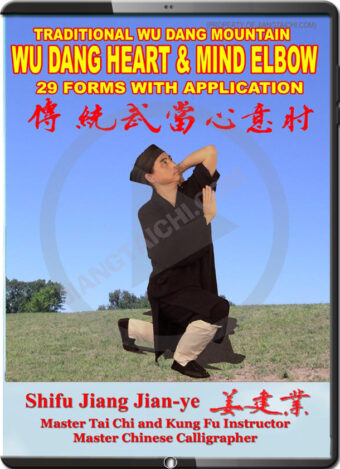 JIANG JIAN YE - WU DANG HEART & MIND ELBOW - 29 FORM WITH APPLICATIONS