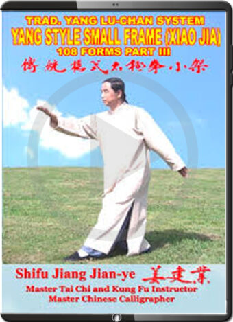 JIANG JIAN YE - YANG STYLE SMALL FRAME - XIAO JIA