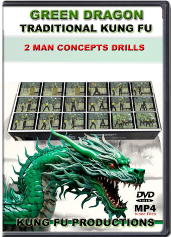 SIFU ALLEN - GREEN DRAGON TRADITIONAL KUNG FU - 2 MAN CONCEPTS DRILLS