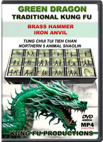 SIFU ALLEN - GREEN DRAGON TRADITIONAL KUNG FU - BRASS HAMMER IRON ANVIL