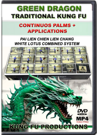 SIFU ALLEN - GREEN DRAGON TRADITIONAL KUNG FU - CONTINUOS PAMLS + APPLICATIONS