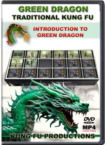 SIFU ALLEN - GREEN DRAGON TRADITIONAL KUNG FU - INTRODUCTION TO GREEN DRAGON