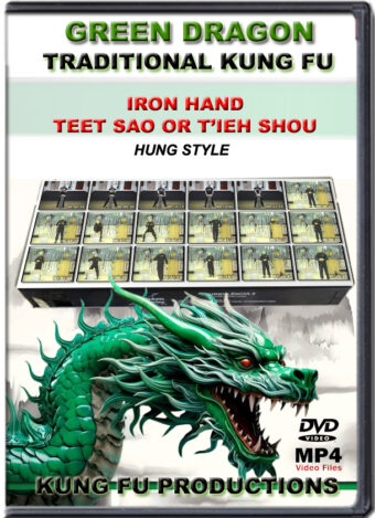 SIFU ALLEN - GREEN DRAGON TRADITIONAL KUNG FU - IRON HAND TEET SAO OR T'IEH SHOU
