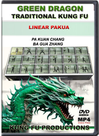 SIFU ALLEN - GREEN DRAGON TRADITIONAL KUNG FU - LINEAR PAKUA
