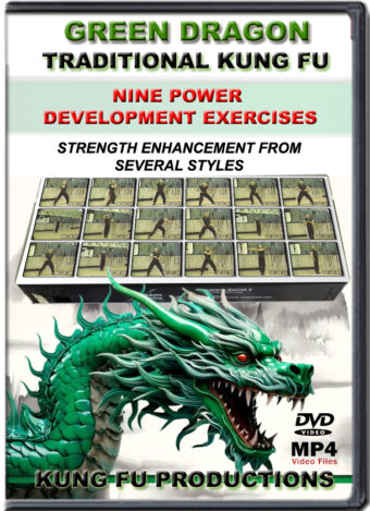 SIFU ALLEN - GREEN DRAGON TRADITIONAL KUNG FU - NINE POWER DEVELOPMENT EXERCISES