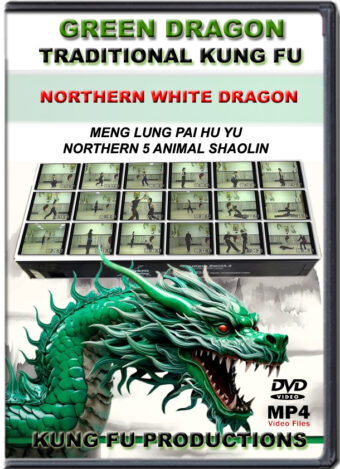 SIFU ALLEN - GREEN DRAGON TRADITIONAL KUNG FU - NORTHERN WHITE DRAGON