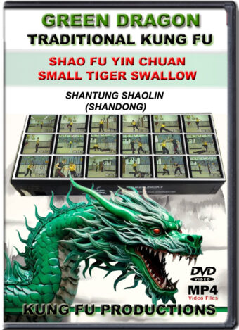SIFU ALLEN - GREEN DRAGON TRADITIONAL KUNG FU - SHAO FU YI CHUAN SMALL TIGER SWALLOW