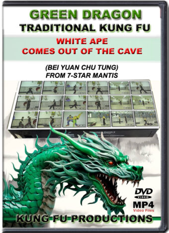 SIFU ALLEN - GREEN DRAGON TRADITIONAL KUNG FU - WHITE APE COMES OUT OF THE CAVE