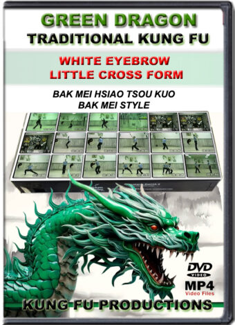 SIFU ALLEN - GREEN DRAGON TRADITIONAL KUNG FU - WHITE EYEBROW LITTLE CROSS FORM