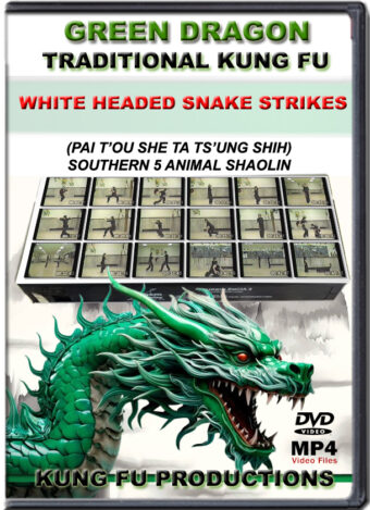 SIFU ALLEN - GREEN DRAGON TRADITIONAL KUNG FU - WHITE HEADED SNAKE STRIKES