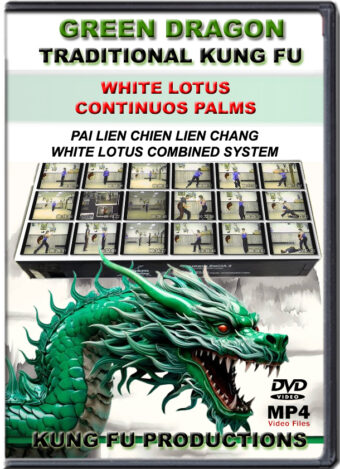 SIFU ALLEN - GREEN DRAGON TRADITIONAL KUNG FU - WHITE LOTUS CONTINUOS PALMS