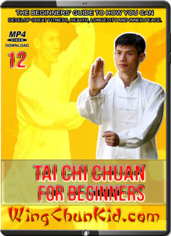 DAVID WONG - TAI CHI CHUAN FOR BEGINNERS