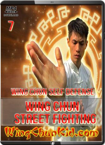 DAVID WONG - WING CHUN SELF DEFENSE - STREET FIGHTING