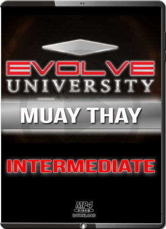 EVOLVE UNIVERSITY - MUAY THAI INTERMEDIATE