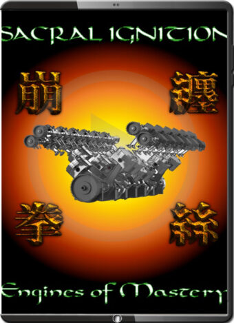 SCOTT MEREDITH - SACRAL IGNITION - ENGINES OF MASTERY