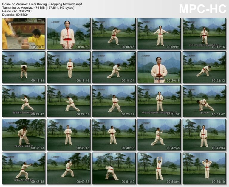 XIN LIANG WU - EMEI BOXING - SLAPPING METHODS