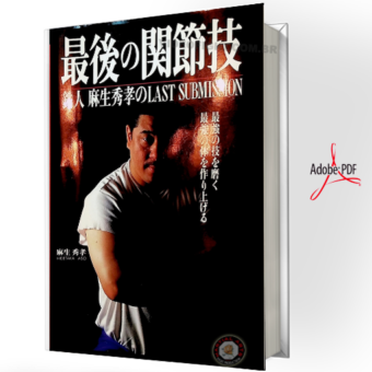 HIDETAKA ASO - THE LAST SUBMISSION  2010 PDF