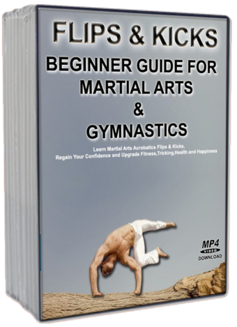 INAUEN THOMAS - FLIPS & KICKS - BEGINNER GUIDE FOR MARTIAL ARTS & GYMNASTICS