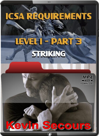 KEVIN SECOURS - SYSTEMA - ICSA REQUIREMENTS LEVEL1 - PART 03 - STRIKING
