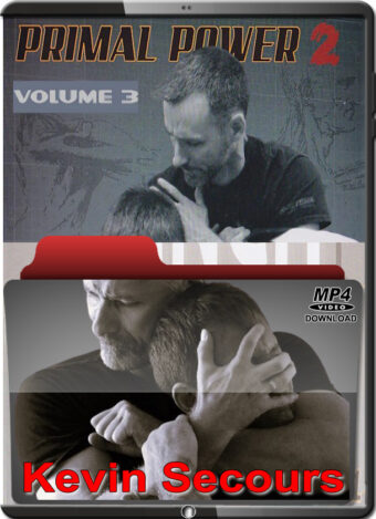 KEVIN SECOURS - SYSTEMA - PRIMAL POWER 2 VOL.03