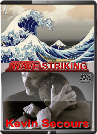 KEVIN SECOURS - SYSTEMA - WAVE STRIKING