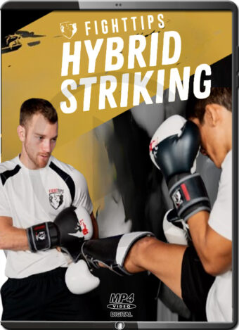 SHANE FAZEN - FIGHTTIPS HYBRID STRIKING
