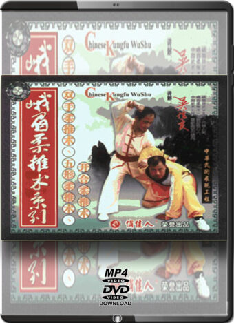XIN LIANG WU - EMEI BOXING - EMEI APPLICATIONS