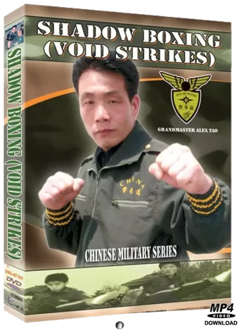 ALEX TAO - SHADOW BOXING (VOID STRIKES)