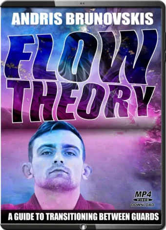 Andris brunovskis flow theory a guide to transitioning between guards