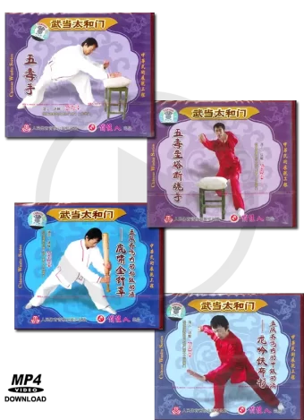 KE PING FAN - WU DANG TAI HE MEN STYLE BOXING SERIES