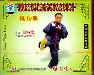 LIANG SHOUZHONG - INNER EIGHT LEG STRIKE - Imagem 2