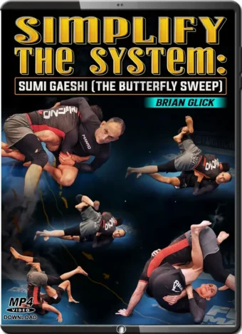 Brian glick simply the system sumi gaeshi