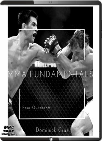 Dominick cruz mma fundamentals
