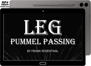 FRANK ROSENTHAL - LEG PUMMEL PASSING
