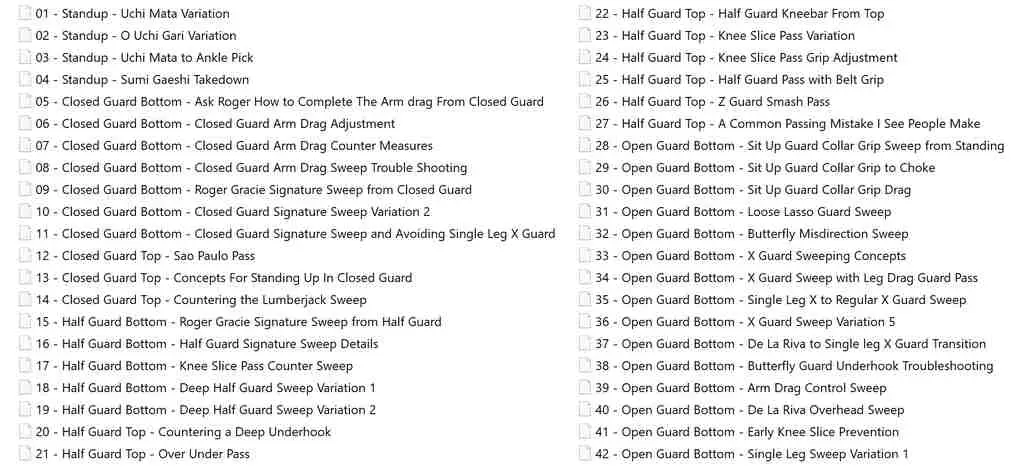 Roger Gracie Purple Belt Essentials Program 1