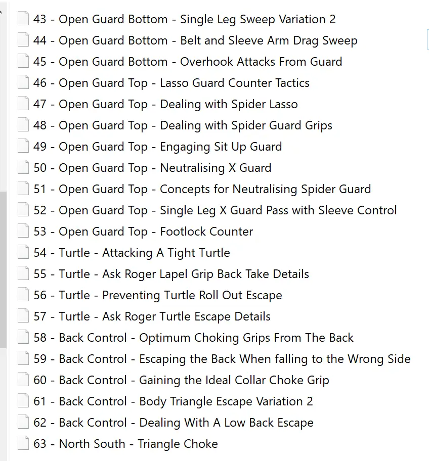 Roger Gracie Purple Belt Essentials Program 2