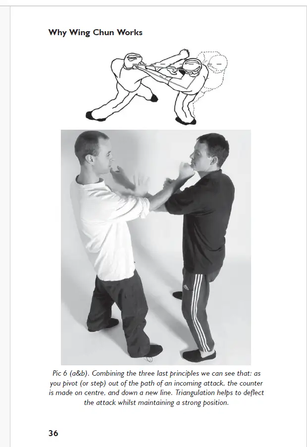 Alan gibson why wing chun works pdf 1